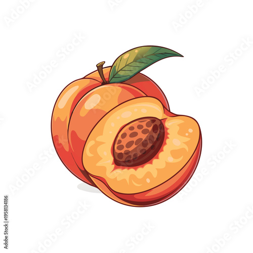 Ripe Peach Fruit Vector Illustration – Fresh Juicy Organic Peach with Leaf Isolated