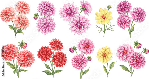 Dahlia flower arrangements in soft pink and yellow tones. Botanical floral set illustration. Elegant garden blossoms for wedding design, decoration, and romantic themes.