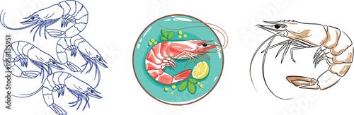 Shrimp Seafood Illustration Set with Raw Prawns and Cooked Dish in Plate for Marine Food, Restaurant, and Culinary Design Collection