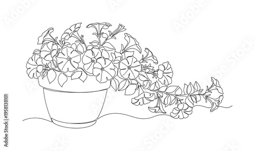 Petunia Decorative Pot. Minimalistic one-line drawing blooming petunia flowers flowing over the edge of a decorative home flower pot, continuous single black