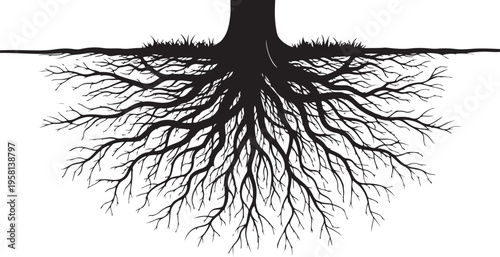Tree roots spreading underground in black silhouette illustration style