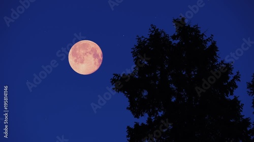 Full Moon, stars and planets above landscape silhouettes.