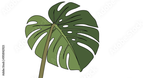 A stylized green monstera leaf with characteristic holes and splits