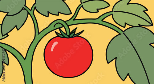 A simple illustration of a ripe red tomato on a green vine with large leaves