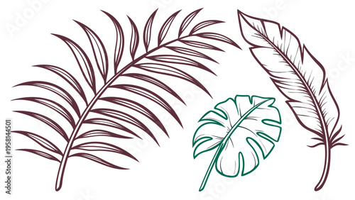 Exotic palm leaves in linear style collection. Brush drawn tropical palm leaves isolated on white background. Handdrawn vector ink illustration. Botanical grunge elements. Tropical foliage.
