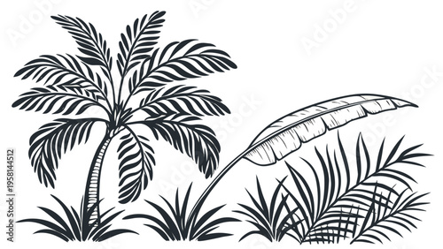 Exotic palm leaves in linear style collection. Brush drawn tropical palm leaves isolated on white background. Handdrawn vector ink illustration. Botanical grunge elements. Tropical foliage.
