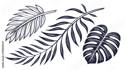 Exotic palm leaves in linear style collection. Brush drawn tropical palm leaves isolated on white background. Handdrawn vector ink illustration. Botanical grunge elements. Tropical foliage.
