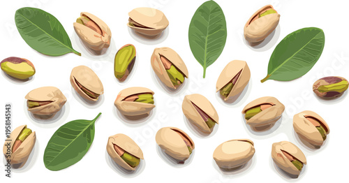 Realistic pistachio nuts with green leaves scattered composition in detailed vector illustration isolated on light background for organic food design and packaging