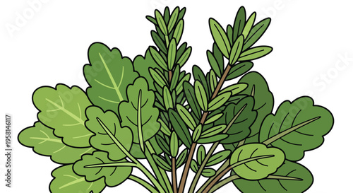 A collection of green leafy herbs, with some stems visible