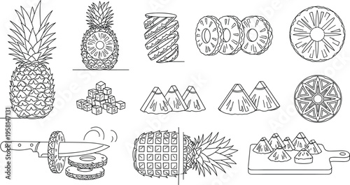 Pineapple line art set with whole fruit slices and cutting process, detailed black outline food illustration collection for coloring and design