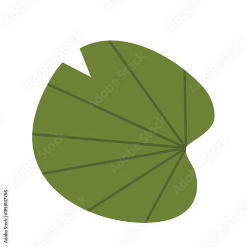 Lily pad icon. Lily cartoon vector on white background.