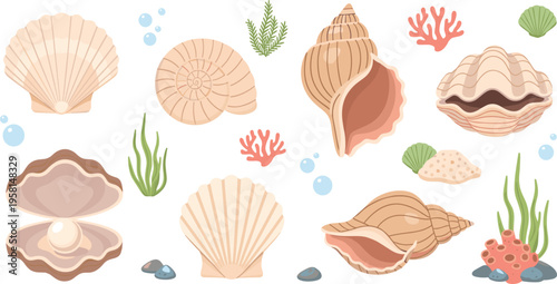 Seashell collection set with ocean shells, coral and underwater elements, marine nature objects in flat cartoon style vector illustration