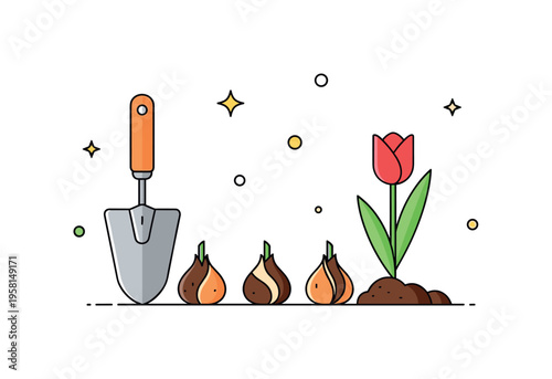 Tulip bulb planting moment small tulip bulbs being placed into a neat garden hole with a hand trowel nearby and a blooming tulip symbolizing the promise of