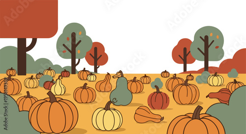 Flat illustration of various pumpkins and gourds scattered across an autumnal landscape