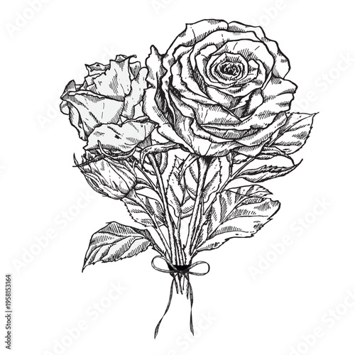 A bouquet of roses tied with a ribbon. Black ink vector illustration in engraving style for spring greeting card design, wedding and birthday decor.