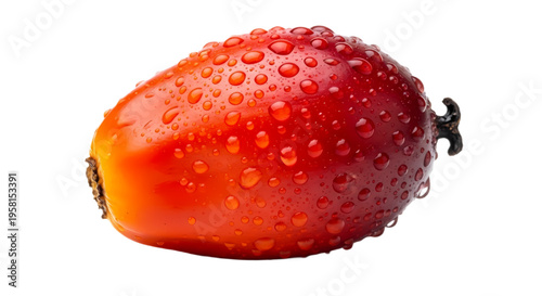 Single Oil Palm Fruit with Water Droplets Isolated on White Background Fresh Harvest Concept