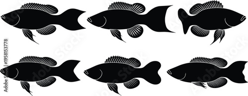 Killifish silhouette set. Tropical aquarium fish vector collection with detailed fins and textured patterns. Freshwater fish silhouettes isolated for pet, nature, and graphic design use.