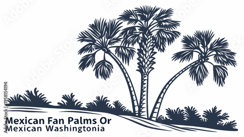 Graceful fan palm trees swaying under a clear sky with lush foliage.