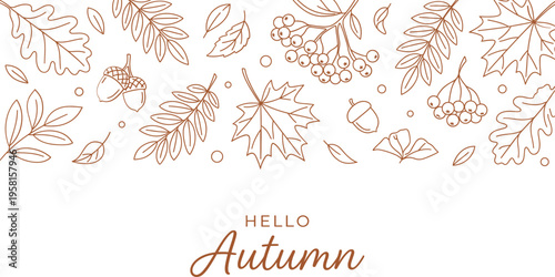 A set of autumnal illustrations featuring leaves and berries on a transparent background with the text 'HELLO Autumn'