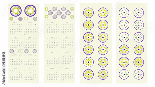 Diagram of plant stem cross sections showing vascular bundle arrangements