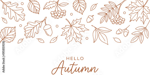 A set of autumn leaves and acorns in a vector illustration design on transparent background