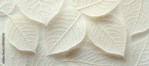 Faded foliage on a pearl backdrop featuring intricate botanical elements and delicate leaf textures.