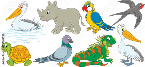 Vector cartoon set of a rhino, a turtle, a parrot, an iguana, a pelican, a martin and a pigeon