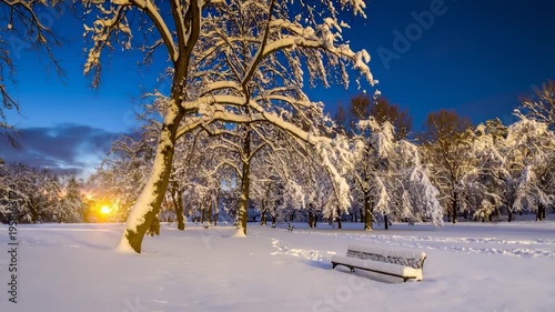 Winter park scene at sunset with snow-covered trees, bench, and a clear blue sky