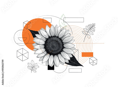 black and white sunflower with large detailed center and petals spreading outward, large orange circle behind the flower symbolizing summer heat and light,