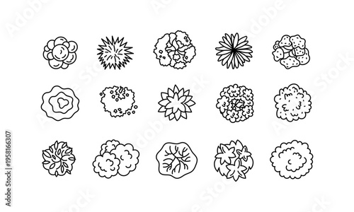 Collection of minimalist tree top view icons in black and white. Ideal for landscape planning and architecture. Includes diverse shapes and styles.