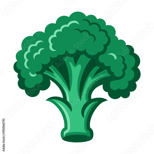 Fresh broccoli vegetable in simplified clean vector style, healthy organic green produce isolated on white, minimal food illustration for nutrition, grocery, menu, packaging and wellness design