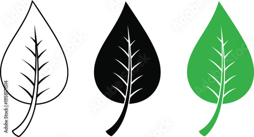 Three leaf illustrations in different colors and styles
