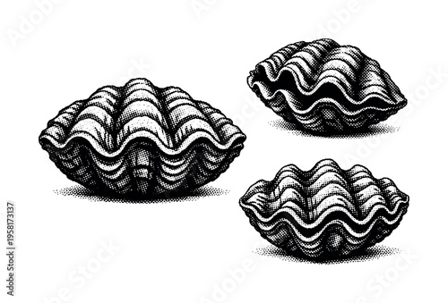 Embrace the Unknown. Set lettering. harmonious lettering variations of the same emblematic concept, each with different artistic interpretation (Bold