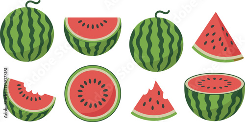 Fresh ripe watermelon vector set with whole fruit half slices and bitten pieces isolated on white background for summer food design