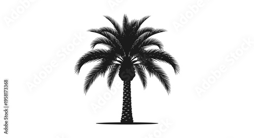 Silhouette of a single palm tree.