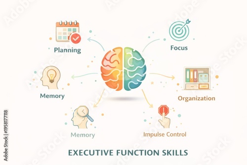 Executive function skills brain infographic highlighting ADHD neurodiversity
