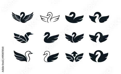 waterfowl. Icon set. Set Logo of waterfowl: water bird wing. harmonious logo variations of the same emblematic concept, each with different artistic