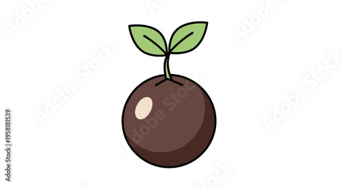 Seedling Growing Seed New Life Growth Concept Organic Beginnings Potential Development Simple