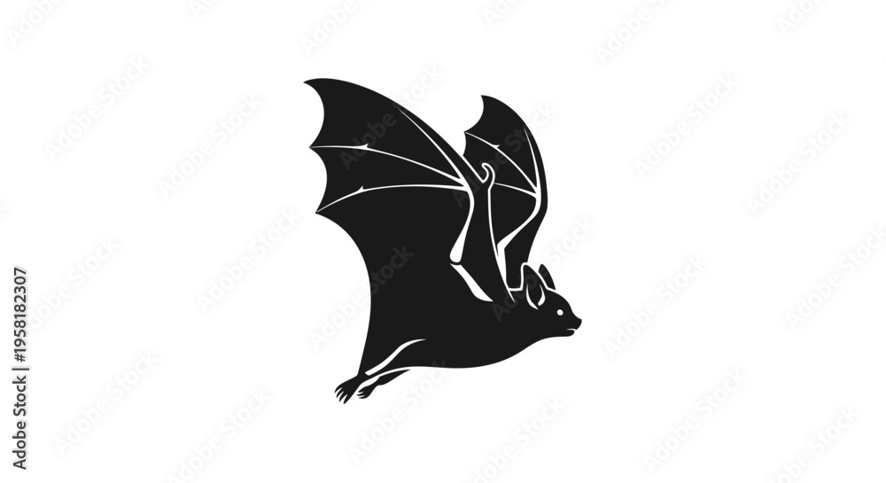 Fototapeta premium Black silhouette of a flying bat.