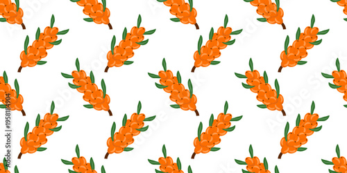 Sea buckthorn branch seamless pattern for textile, wallpaper, wrapping paper and natural food packaging