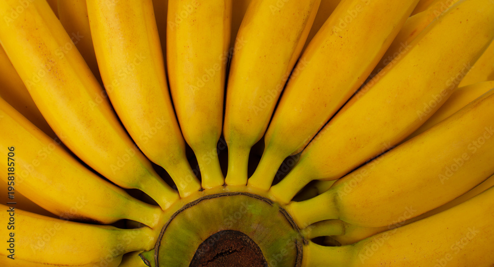 Fototapeta premium Closeup fresh banana background.