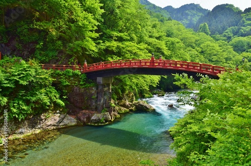 Wallpaper Mural 新緑につつまれる 日光二荒山神社 神橋 Torontodigital.ca