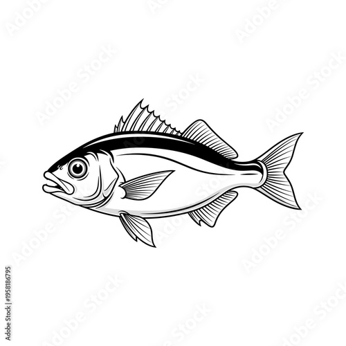 A black and white drawing of a fish