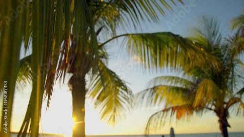 Tropical palm trees on a sandy beach at sunset create a serene Caribbean island paradise with an exotic seascape view of the summer ocean