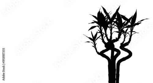 Woman doing yoga on tree branch.