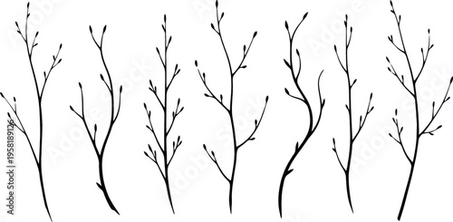 Hand-drawn illustration of multiple bare tree branches with small buds, depicting a winter or early spring botanical theme in black and white.