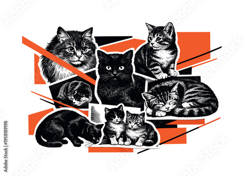 A black-and-white assortment of vintage etched cat illustrations overlapping slightly like collectible prints, intersected by sharp orange geometric shapes and