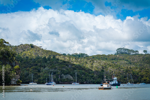 Fishing boats rest on calm waters beneath lush green hills and rocky cliffs. Seabirds glide across a bright sky. A serene coastal scene at Mercury Bay, Whitianga, New Zealand