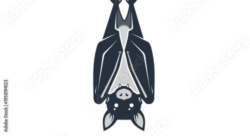 Black and white bat hanging upside down.