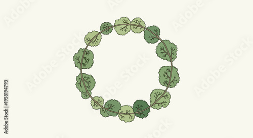 Green jade stone beads bracelet jewelry.